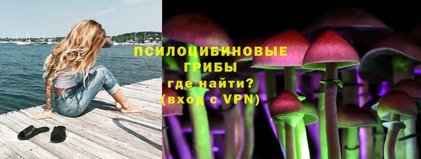 ALPHA PVP Алексин