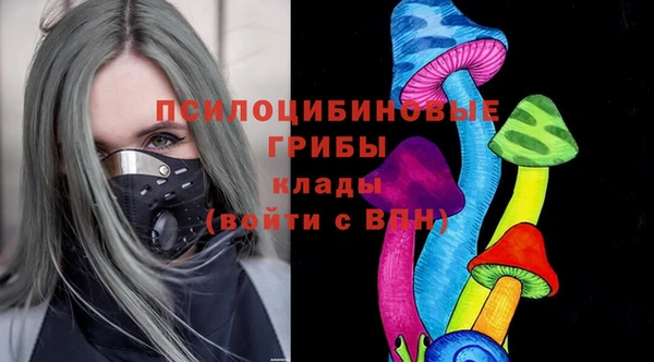 мескалин Дмитриев