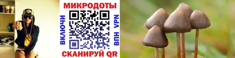 Псилоцибиновые грибы MAGIC MUSHROOMS  где найти наркотики  Берёзовский 